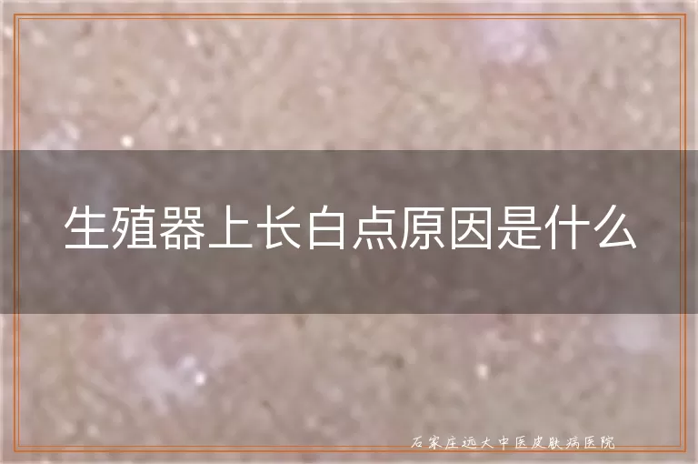 生殖器上长白点原因是什么